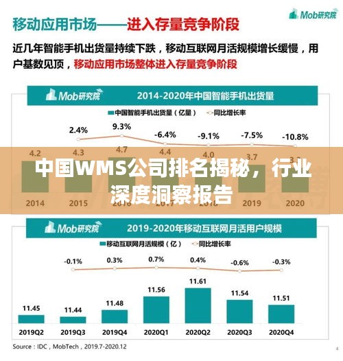 中国WMS公司排名揭秘，行业深度洞察报告