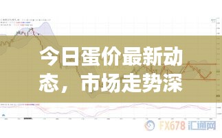 今日蛋价最新动态，市场走势深度解析