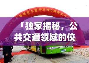 「独家揭秘，公共交通领域的佼佼者，巴士新公司排名榜单出炉！」