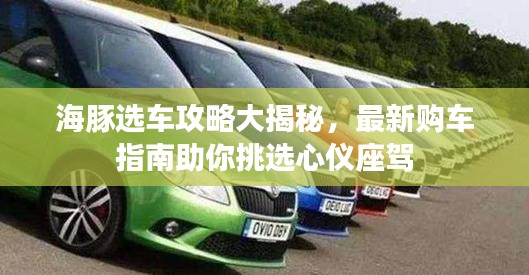 海豚选车攻略大揭秘，最新购车指南助你挑选心仪座驾