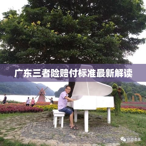 广东三者险赔付标准最新解读