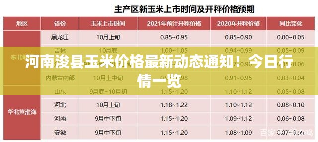 河南浚县玉米价格最新动态通知！今日行情一览
