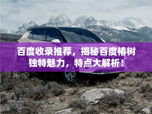 百度收录推荐，揭秘百度椿树独特魅力，特点大解析！