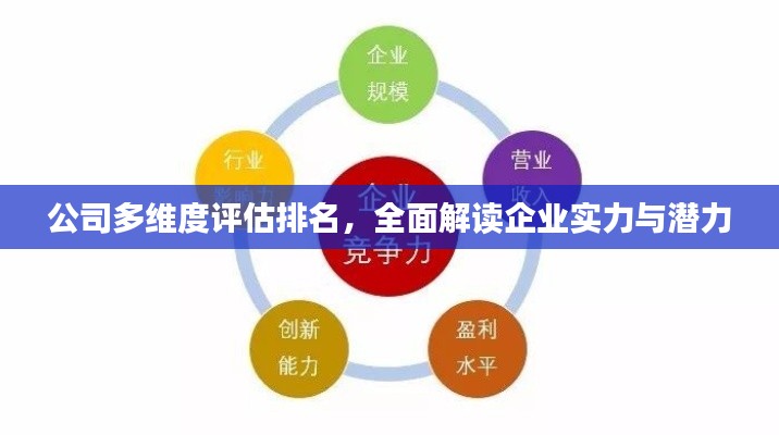 公司多维度评估排名，全面解读企业实力与潜力