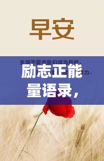 励志正能量语录，激发你内心力量的情感寄语