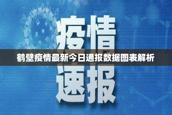 鹤壁疫情最新今日通报数据图表解析