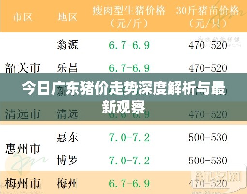 今日广东猪价走势深度解析与最新观察