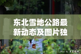 东北雪地公路最新动态及图片独家报道
