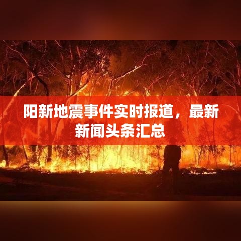 阳新地震事件实时报道，最新新闻头条汇总