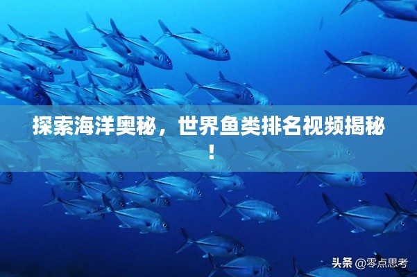 探索海洋奥秘，世界鱼类排名视频揭秘！