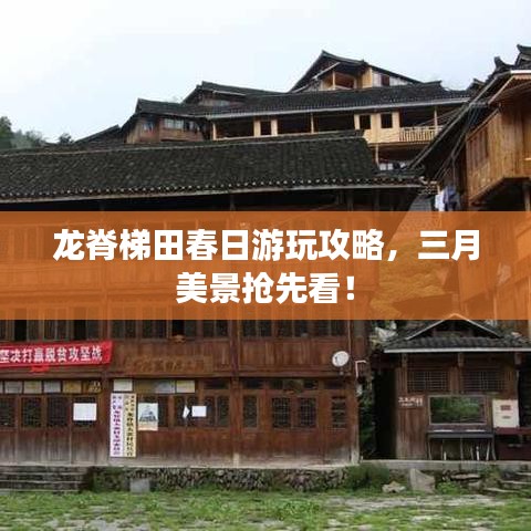 龙脊梯田春日游玩攻略，三月美景抢先看！