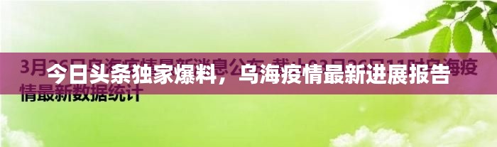 今日头条独家爆料，乌海疫情最新进展报告