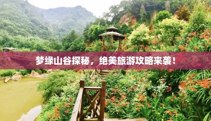 梦缘山谷探秘，绝美旅游攻略来袭！