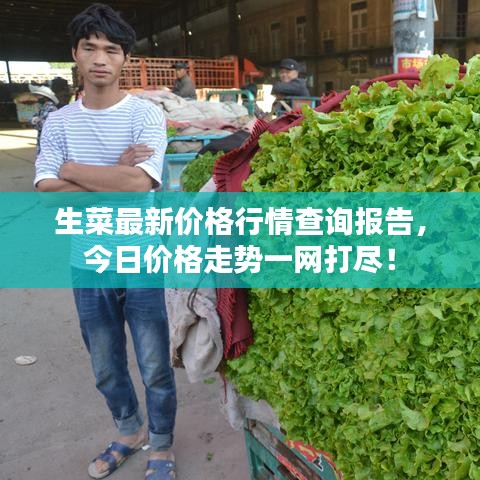 生菜最新价格行情查询报告，今日价格走势一网打尽！