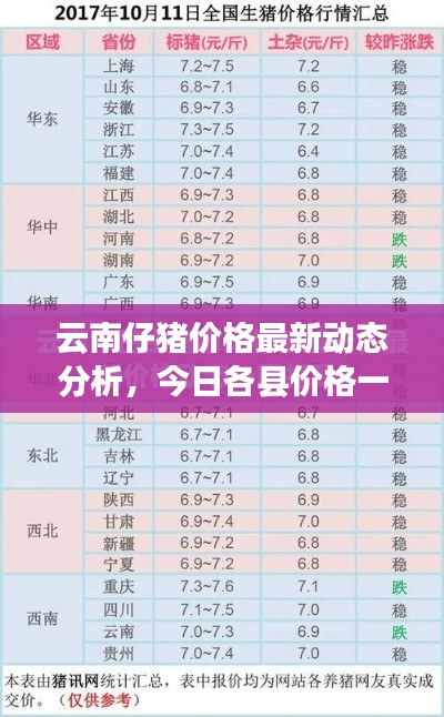 云南仔猪价格最新动态分析，今日各县价格一览