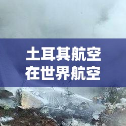 土耳其航空在世界航空领域的地位与卓越成就