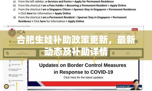 合肥生娃补助政策更新，最新动态及补助详情