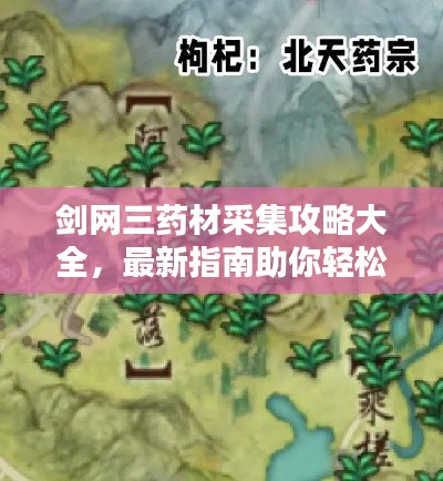 剑网三药材采集攻略大全，最新指南助你轻松掌握采集技巧！