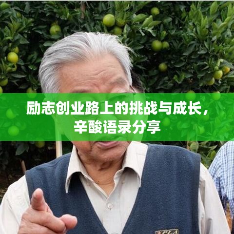 励志创业路上的挑战与成长，辛酸语录分享