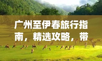 广州至伊春旅行指南，精选攻略，带你畅游两地美景！
