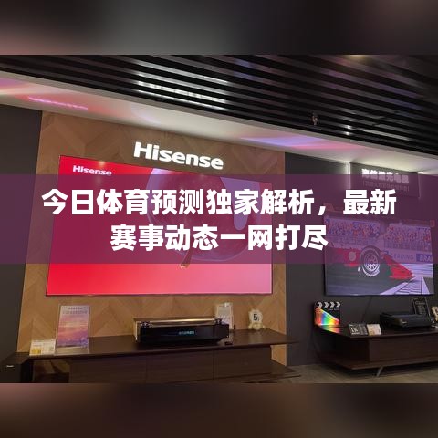今日体育预测独家解析，最新赛事动态一网打尽