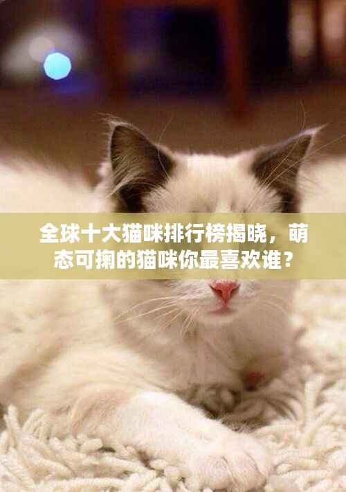 全球十大猫咪排行榜揭晓，萌态可掬的猫咪你最喜欢谁？