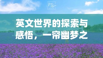 英文世界的探索与感悟，一帘幽梦之旅