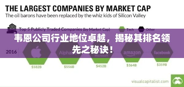韦恩公司行业地位卓越，揭秘其排名领先之秘诀！