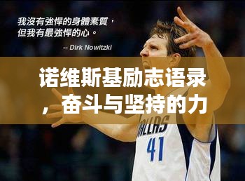 诺维斯基励志语录，奋斗与坚持的力量，激发无限潜能！