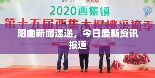 阳曲新闻速递，今日最新资讯报道