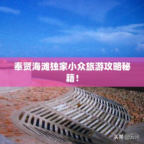 奉贤海滩独家小众旅游攻略秘籍！