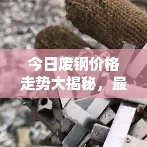 今日废钢价格走势大揭秘，最新行情动态！