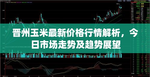 2025年6月25日 第5页