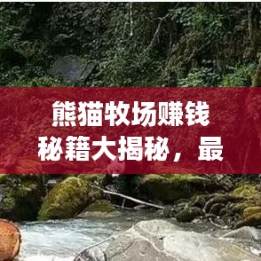 熊猫牧场赚钱秘籍大揭秘，最新攻略助你打造财富牧场！