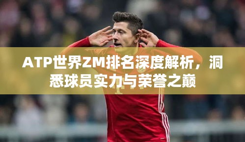 ATP世界ZM排名深度解析，洞悉球员实力与荣誉之巅