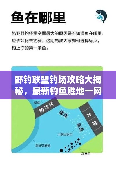 野钓联盟钓场攻略大揭秘，最新钓鱼胜地一网打尽！