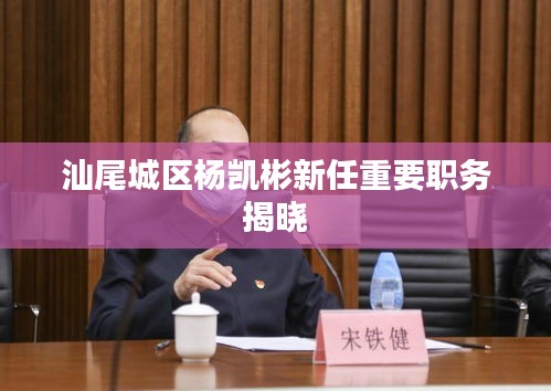 汕尾城区杨凯彬新任重要职务揭晓