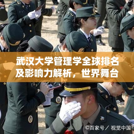 武汉大学管理学全球排名及影响力解析，世界舞台上的卓越表现